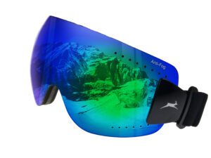 Lunettes de ski WS9140 Gamswild Lunettes de neige