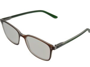 Lunettes de lecture Gamswild +1.0 / +1.5 / +2.0 / +2.5 dpt Vert-Marron