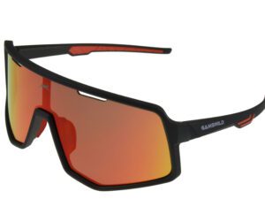 Lunettes de sport WS4042 Gamswild TR90 "Top Model 2026"