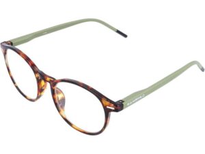 Lunettes de lecture Gamswild +1.0 / +1.5 / +2.0 / +2.5 dpt Vert