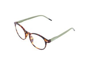 Lunettes de lecture Gamswild +1.0 / +1.5 / +2.0 / +2.5 dpt Vert